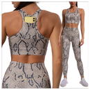 Conjuntos Fitness Leopardo Print Yoga